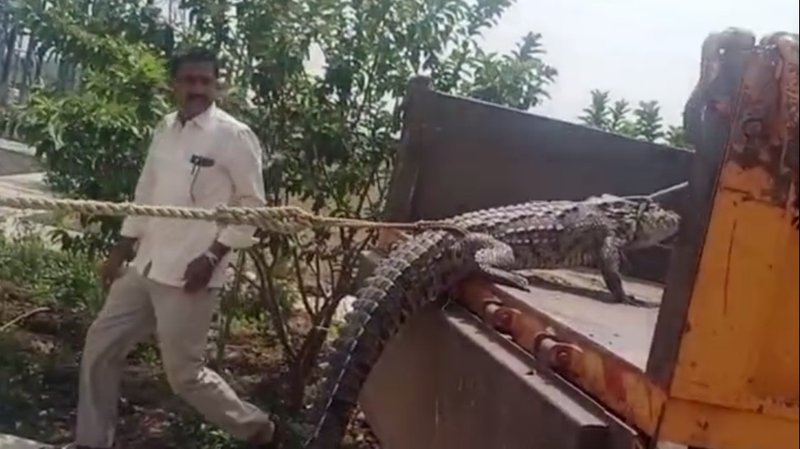 Power of the kraken demo - Unleashing the Fearsome Power of the Kraken in Indian Waters